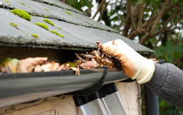 gutter cleaning Lodge Green