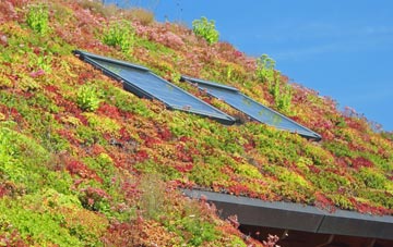 Lodge Green living roof systems