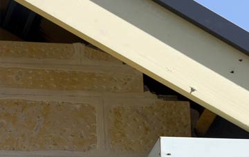 soffit repair Lodge Green